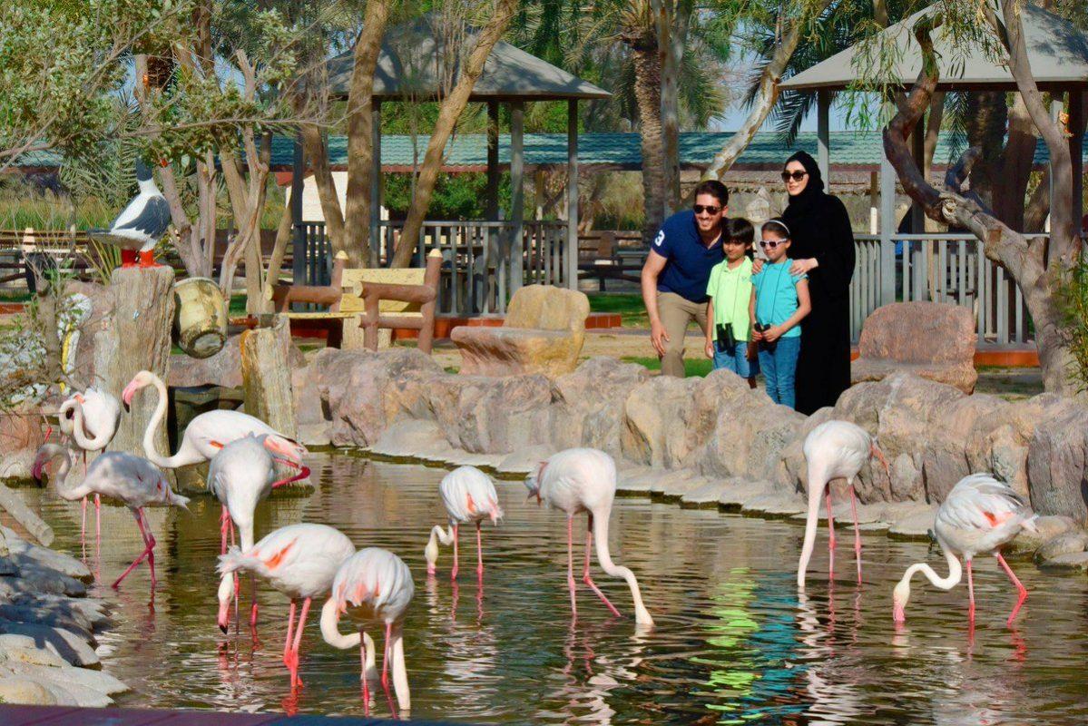 Al Areen Park and Reserve is 40 minutes away from Manama Center